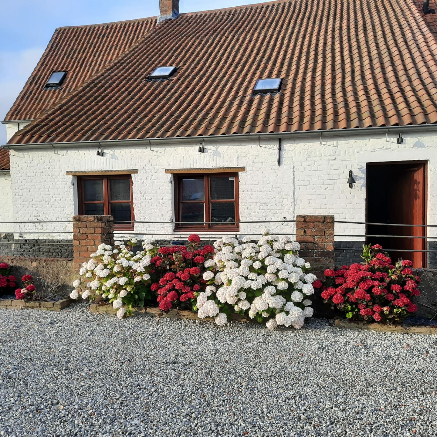 fiets, fietsparadijs, fietsbenodigheden, fietsherstellingen, vakantie, kust, babyborrel, evenement, semenarie, teambuilding, maaltijd