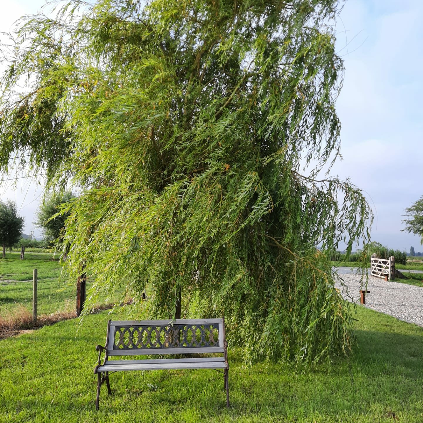 fiets, fietsparadijs, fietsbenodigheden, fietsherstellingen, vakantie, kust, babyborrel, evenement, semenarie, teambuilding, maaltijd